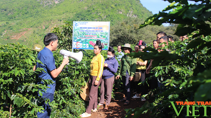 Phân bón Sông Lam Tây Bắc đồng hành cùng nông dân làm giàu