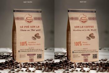 Speciaity Son La arabica coffee - Whole bean