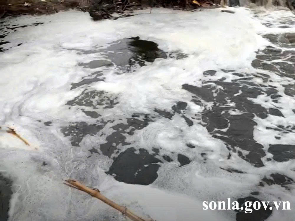 Sơn La: “Chủ tịch UBND cấp xã chịu trách nhiệm trước pháp luật và trước Chủ tịch UBND tỉnh trong trường hợp để xảy ra ô nhiễm môi trường”